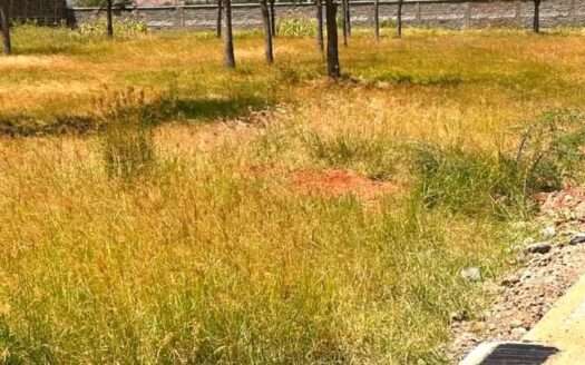 ½ Acre Plot Available for Sale in Karen